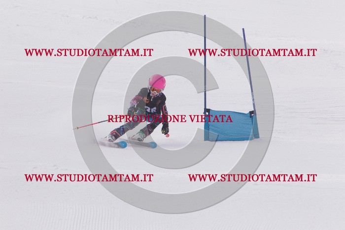 MAT_5354.JPG