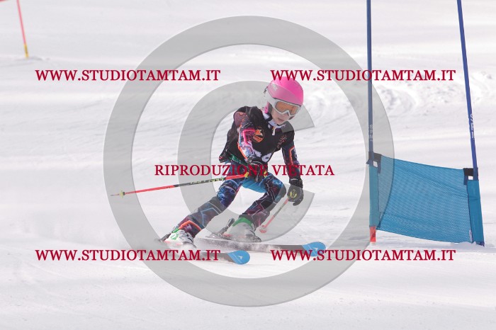 MAT_5356.JPG