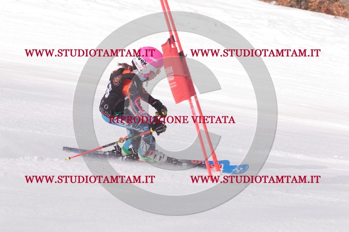 MAT_5357.JPG