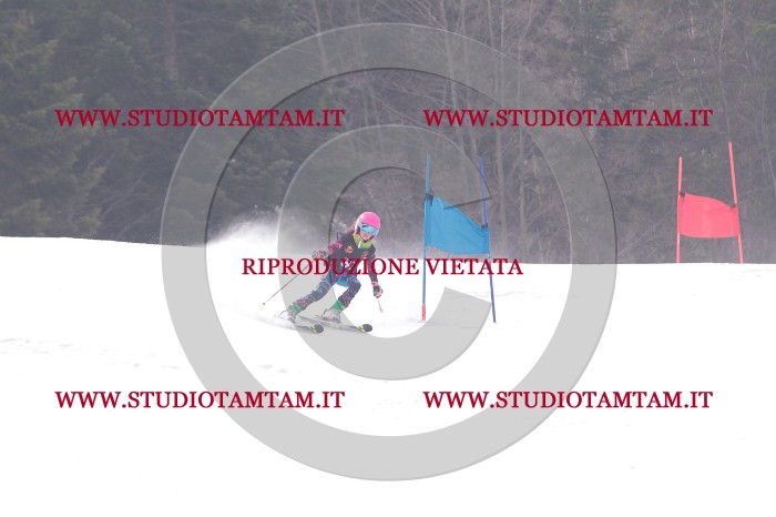MAT_5359.JPG