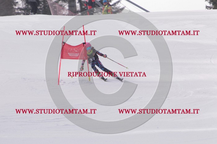 MAT_5360.JPG