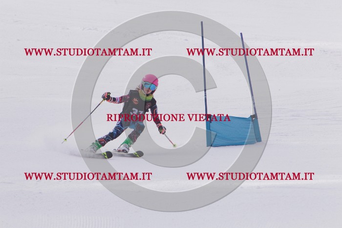 MAT_5361.JPG