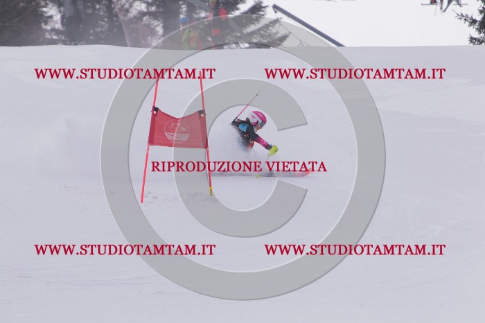 MAT_5367.JPG