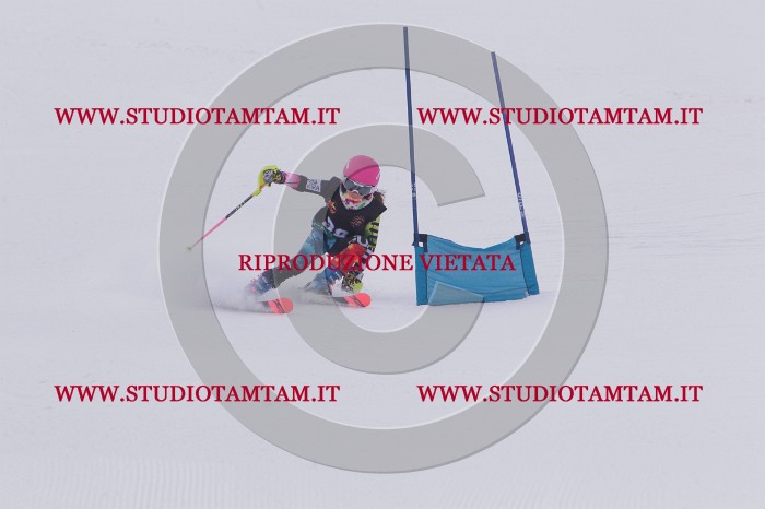 MAT_5368.JPG