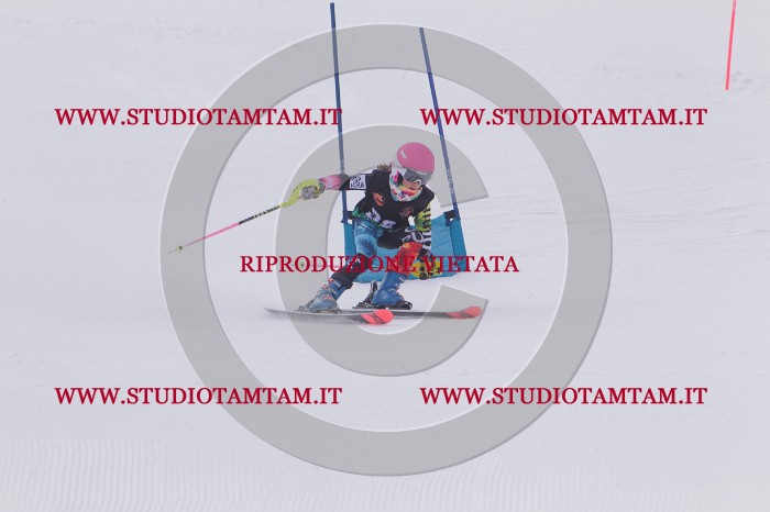 MAT_5369.JPG
