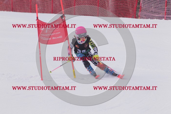 MAT_5370.JPG