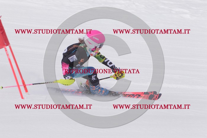 MAT_5372.JPG