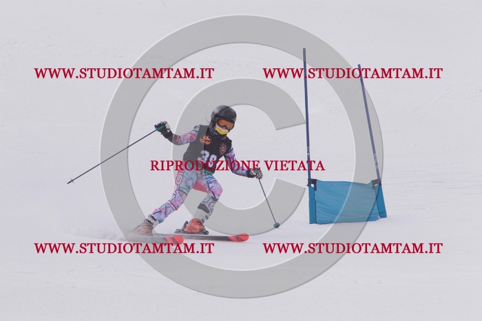MAT_5376.JPG