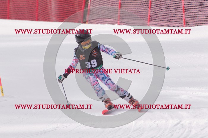 MAT_5378.JPG