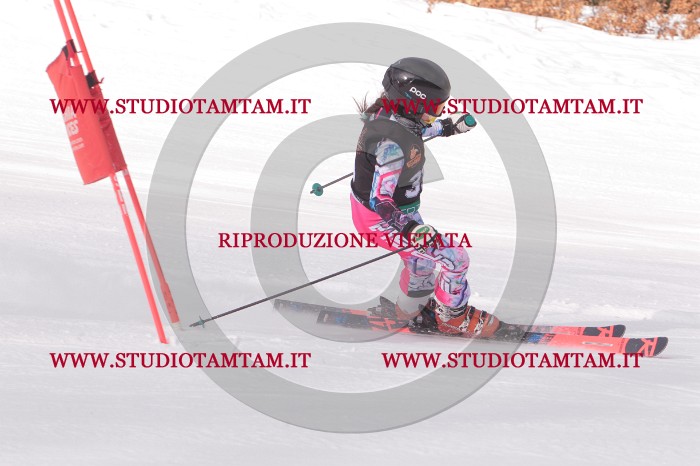 MAT_5380.JPG