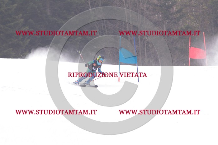 MAT_5382.JPG