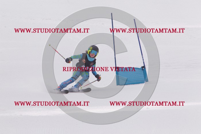 MAT_5384.JPG
