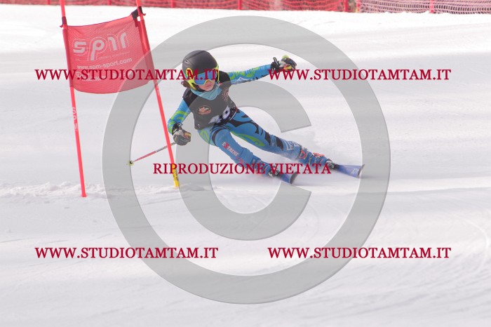 MAT_5385.JPG