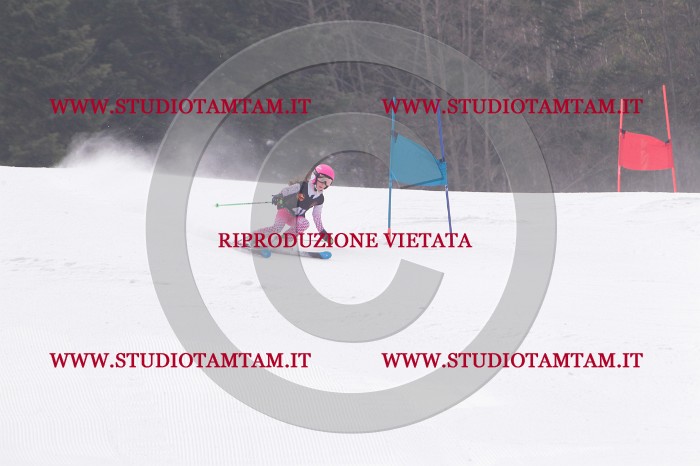 MAT_5389.JPG