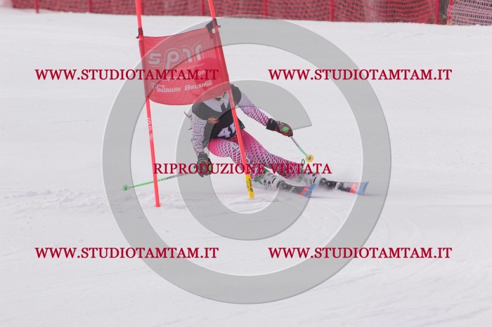 MAT_5392.JPG
