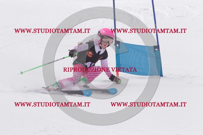 MAT_5393.JPG