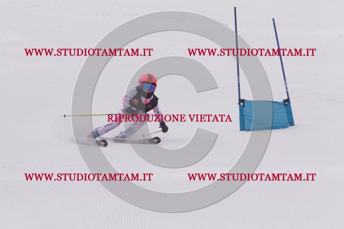 MAT_5398.JPG