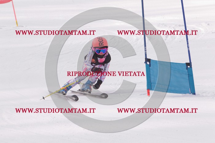 MAT_5400.JPG