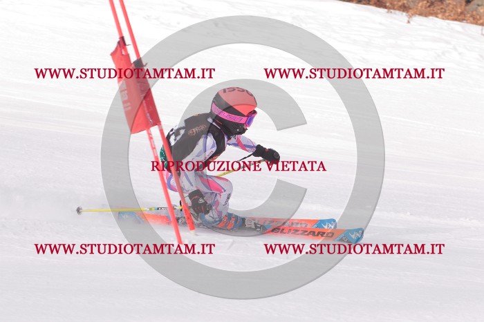 MAT_5401.JPG