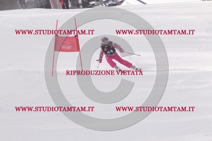 MAT_5404.JPG