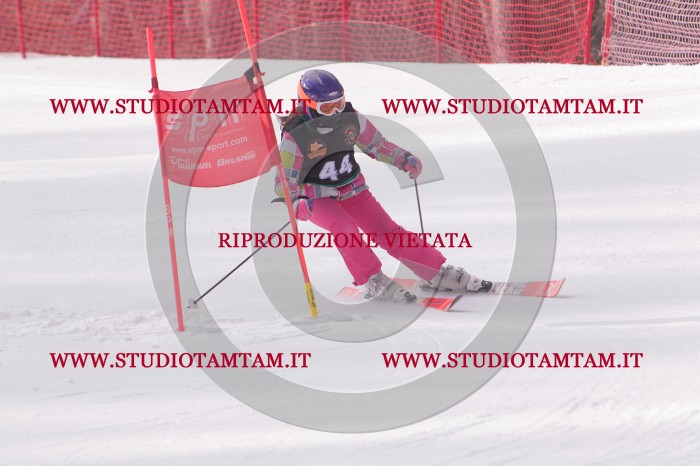 MAT_5406.JPG
