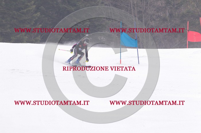 MAT_5411.JPG