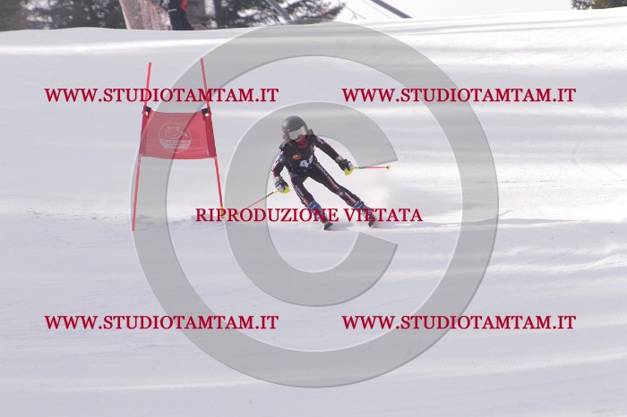 MAT_5412.JPG