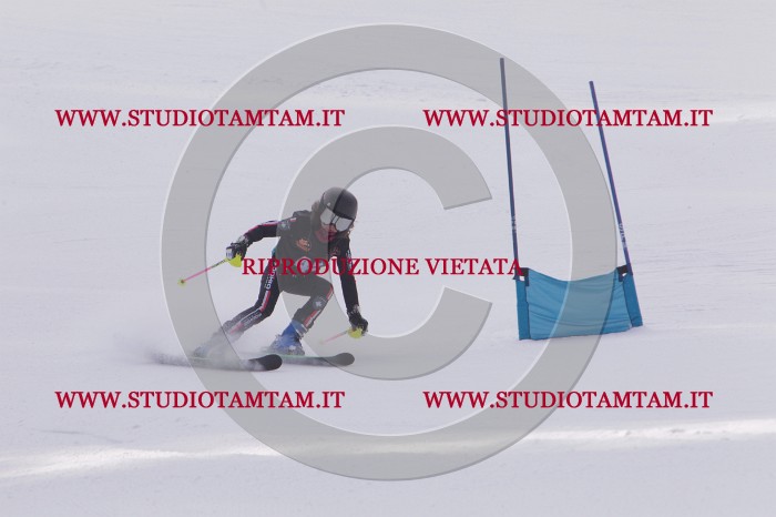 MAT_5413.JPG
