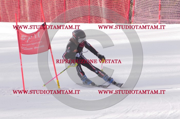 MAT_5414.JPG