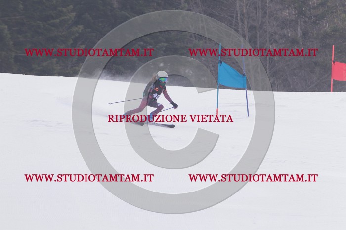 MAT_5419.JPG