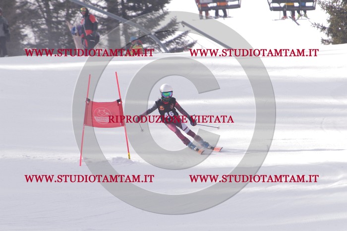 MAT_5420.JPG