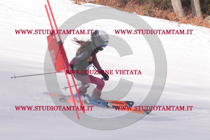 MAT_5424.JPG