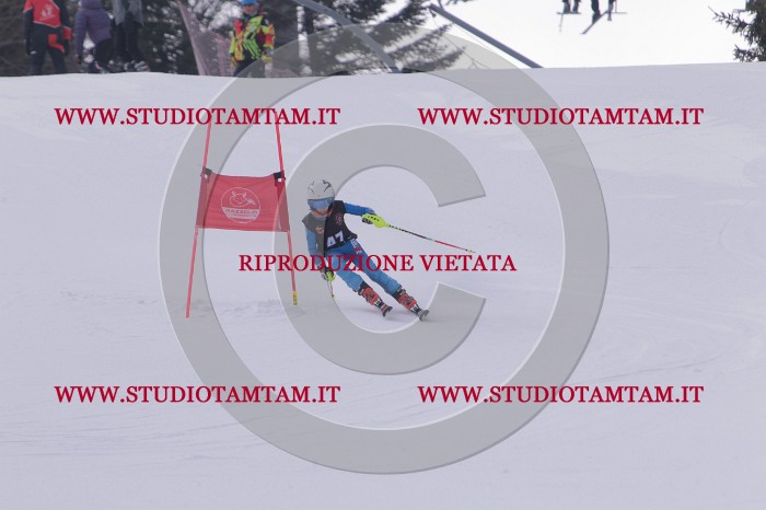 MAT_5429.JPG