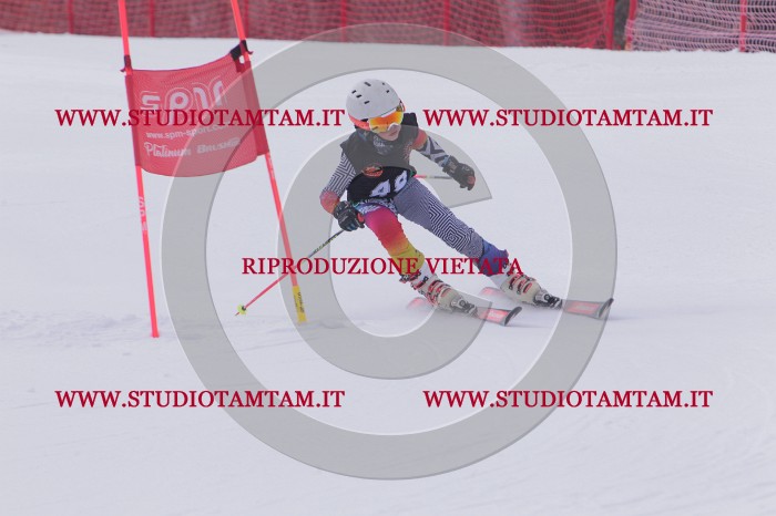 MAT_5439.JPG
