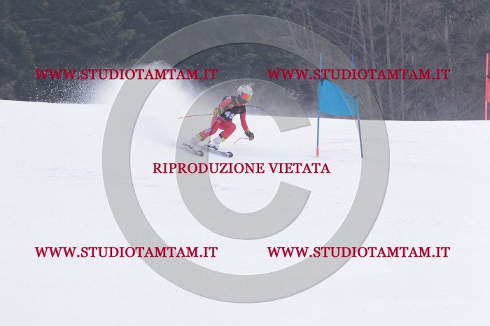 MAT_5443.JPG