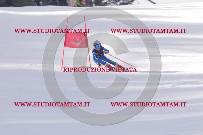 MAT_5452.JPG