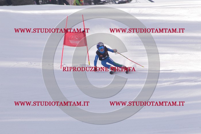 MAT_5453.JPG