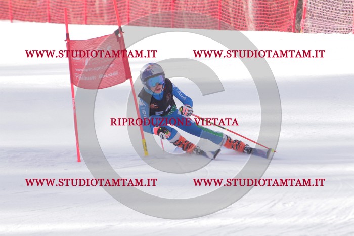 MAT_5455.JPG