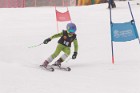 MAT_5176