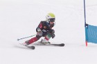 MAT_5239