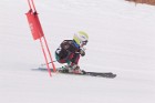 MAT_5241