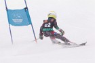 MAT_5243