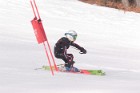 MAT_5264