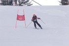 MAT_5293