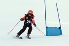 MAT_5294