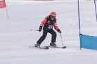 MAT_5297