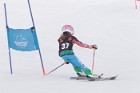 MAT_5365
