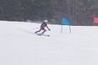 MAT_5419