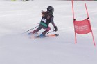 MAT_5427