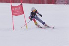 MAT_5439